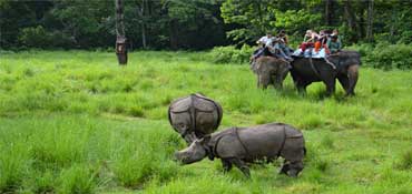 Chitwan National Park
